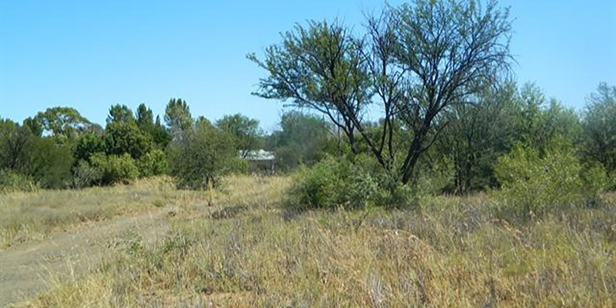 3 Bedroom Property for Sale in Bloemfontein Rural Free State